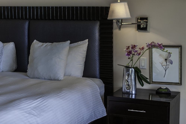 Princess Heights Luxury Boutique Condo Hotel (One Hoe)